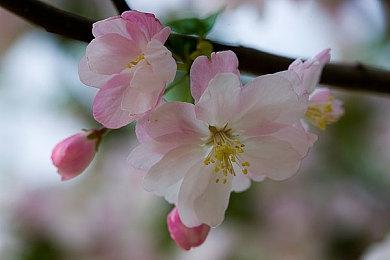 难度再升级！杀时间策略《魔王终局》即将免费更新